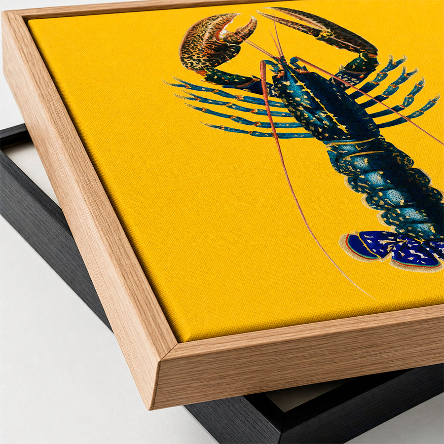 Floating frames, built to impress