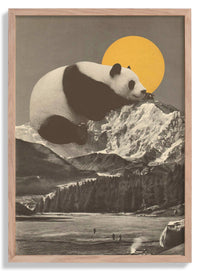 Giant Panda Nap by Florent Bodart - Kuriosis Fine Art GmbH