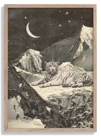 Giant White tiger in Mountains by Florent Bodart - Kuriosis Fine Art GmbH