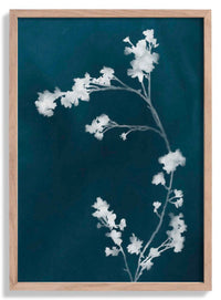 Monograph Blue Flowers by amini54 - Kuriosis Fine Art GmbH