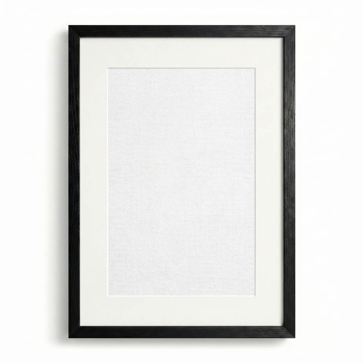 Frame Mount