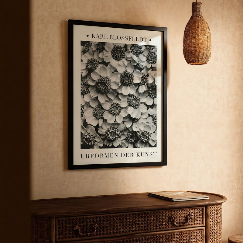 Karl Blossfeldt Art Prints: The Photographer Who Turned Plants into Architecture