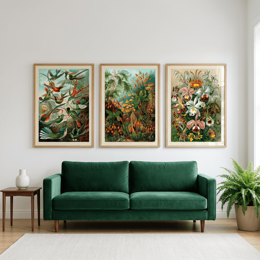 Das Ernst Haeckel Set