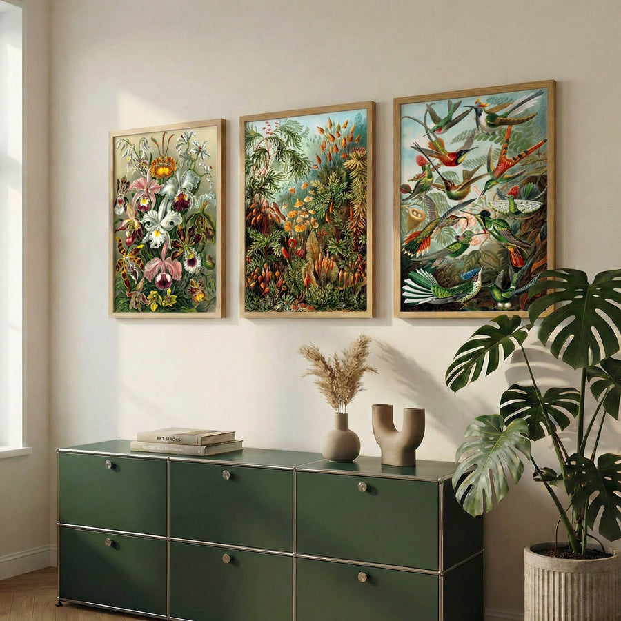 De Ernst Haeckel Set
