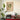 Cannabis Sativa School