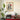 Coffee Kaffeebaum