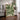 Verdant Tapestry by Treechild - Kuriosis Fine Art GmbH