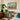 Nature in Ascending Regions Educational