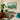 Nature in descending Regions Educational Vintage
