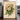 Duchesse De Vallombrosa Roses by Pictufy - Kuriosis Fine Art GmbH