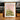 Green Aloe Pink Wall by Henrike Schenk - Kuriosis Fine Art GmbH