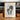 Karl Blossfeldt Photogravure Nr 109 - Kuriosis Fine Art GmbH