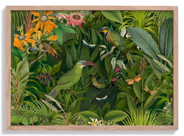 Tropical Midnight Jungle Birds by Andrea Haase