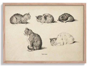 Antique Cats Poster