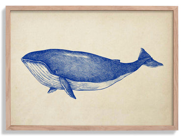 Antique Blue Whale Poster