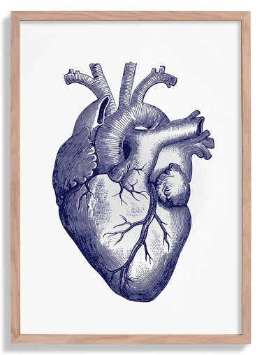 Blue Heart Anatomical Poster