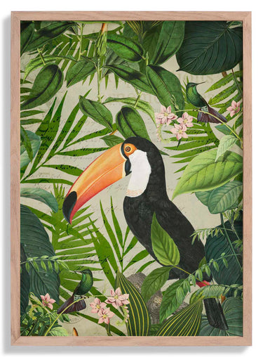 Jungle Toucan by Andrea Haase