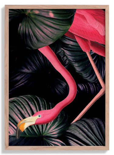 American Flamingo in Jungle Animal Print