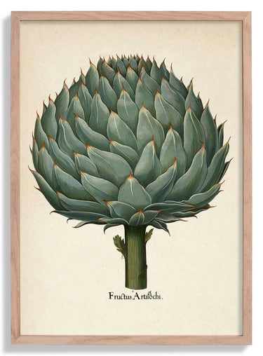 Artichoke Botanical Poster