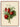 Frogmore Vicomtesse Strawberries Fruit Poster