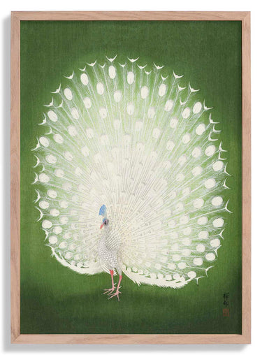 Green Peacock by Koson