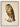 Antique Owl Poster