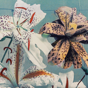 Gallery-quality printing, every time