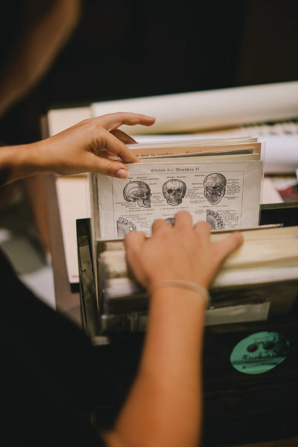 Todo empezó con una medusa