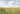 Summer Flower Field by Henrike Schenk - Kuriosis Fine Art GmbH