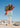Vintage Desert Motel Sign by Bethany Young - Kuriosis Fine Art GmbH