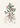 Rhatany (krameria Triandrea) Medical Botany by John Stephenson and - Kuriosis Fine Art GmbH