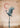Serene Crane Balance by Fadil Roze - Kuriosis Fine Art GmbH