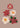 Christmas Flowers by Anis Illustration - Kuriosis Fine Art GmbH