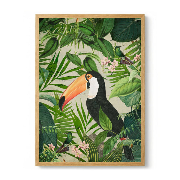 Jungle Toucan von Andrea Haase
