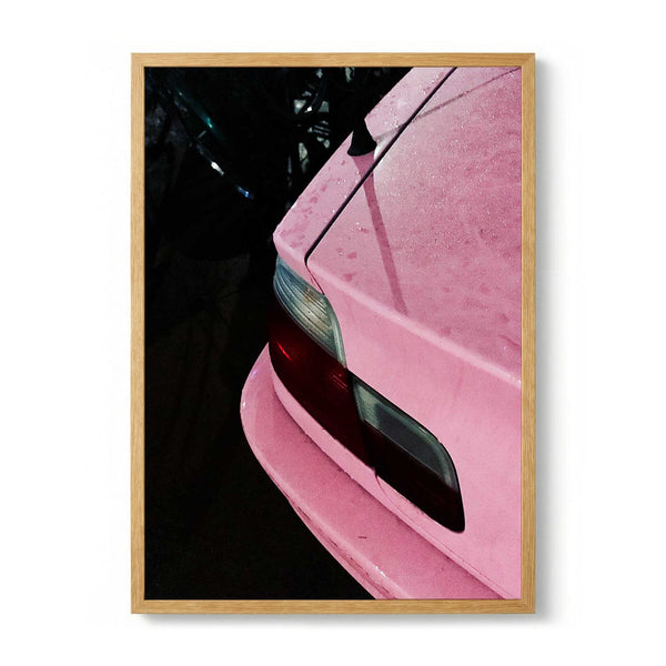 Rose Car door Andrea Schindler