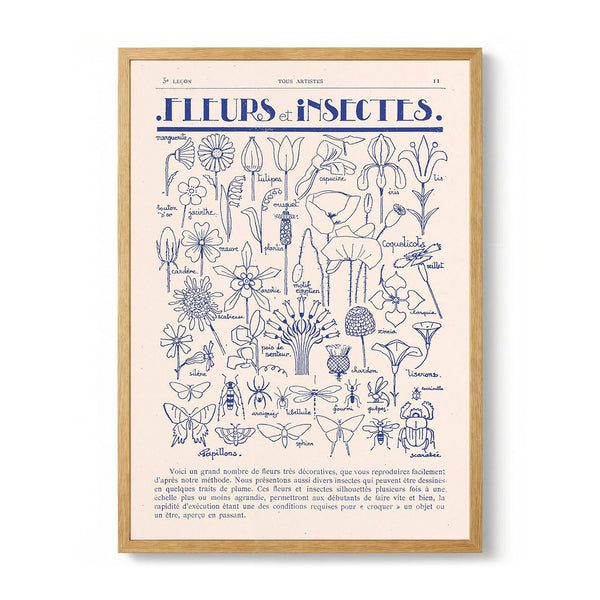 Fleurs et Insectes par Astër