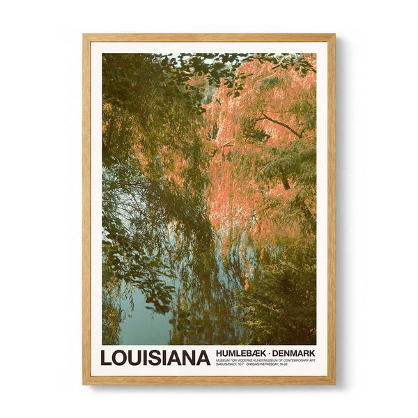 Lousiana I von Florent Bodart