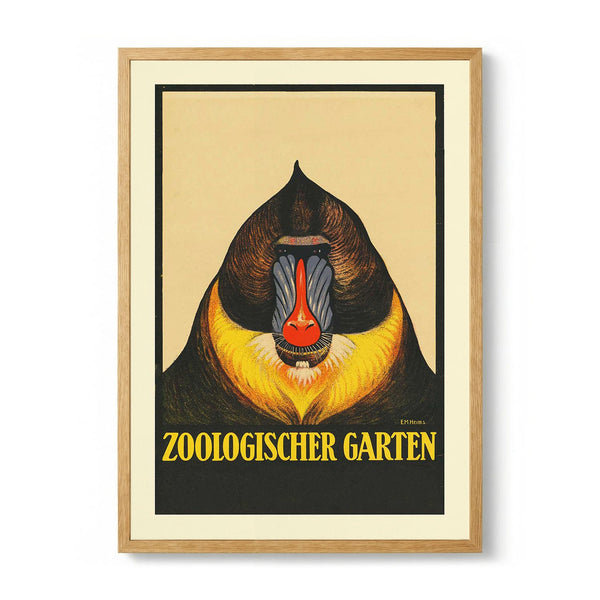 Zoologischer Garten Baboon door Garten