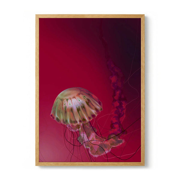 Fire Starter Jellyfish de Julia Charlott