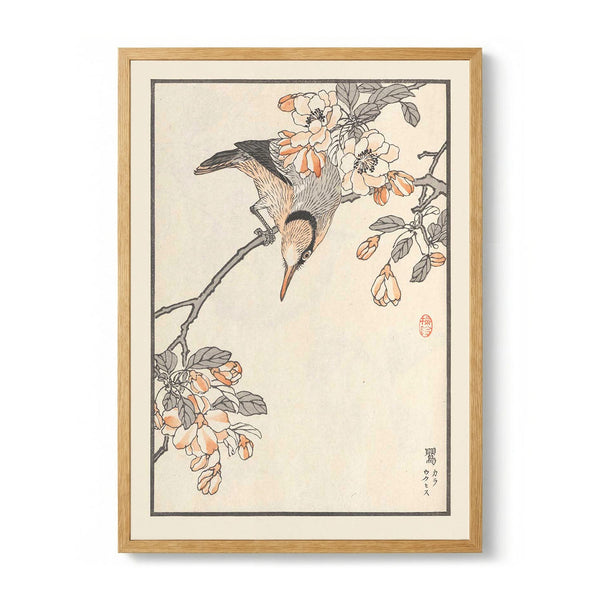 Bairei hyakucho gafu. Ten Pl.15 par Kono Bairei