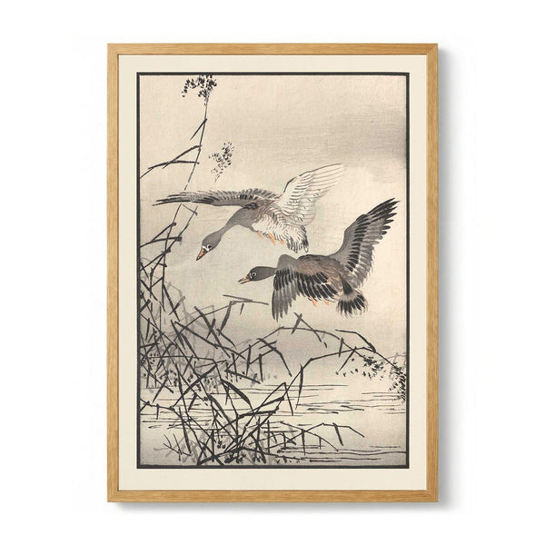 Bairei hyakucho gafu. Ten Pl.27 door Kono Bairei