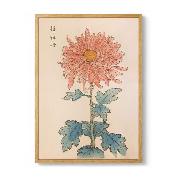 Keika hyakugiku Pl.15 1893 par Keika Hosegawa