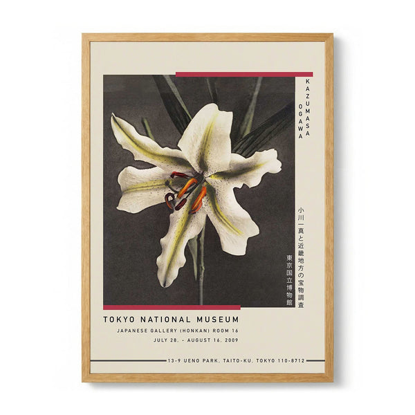 White Lily in the Dark door Kazumasa Exhibition