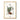 Furu - Pinus silvestris L. door Olaf Alfred Hoffstad