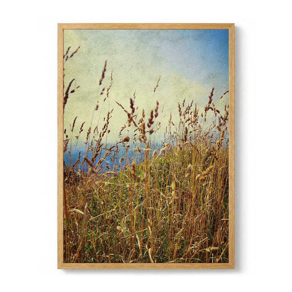Mountain Grass de Angelo Cerantola