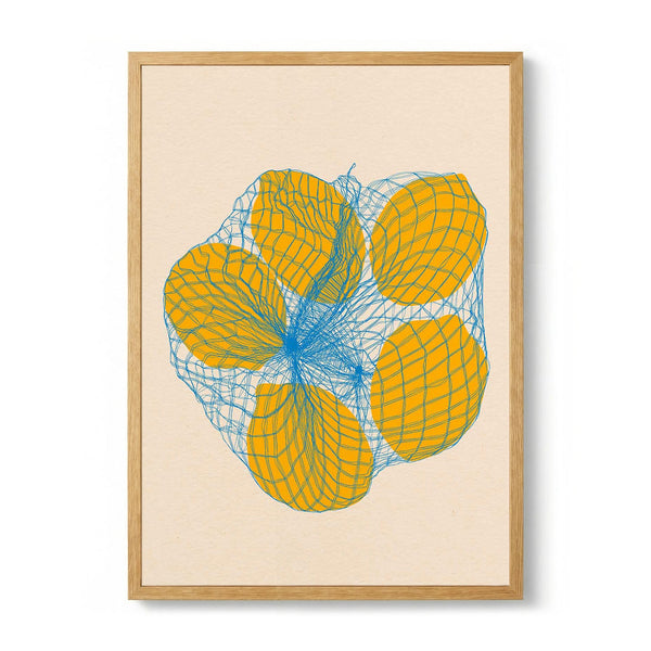 Five Lemons In a Net Bag par Rosi Feist