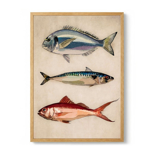 Trio of Ocean Life par Emel Tunaboylu