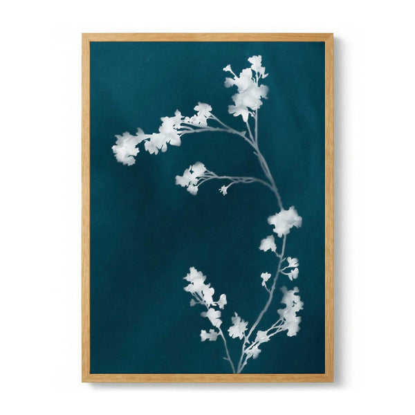 Monograph Blue Flowers di amini54