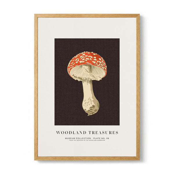 Fly Agaric Botanical Study by Alexandra Weise