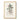 Rhatany (krameria Triandrea) Medical Botany by John Stephenson and - Kuriosis Fine Art GmbH